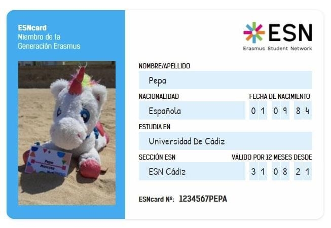 esn card